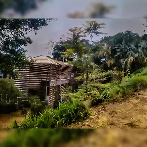 Jungle Tree House Rangala Kandy
